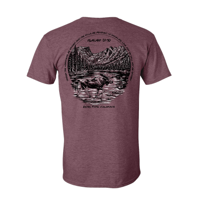 Will Not Be Shaken Tee