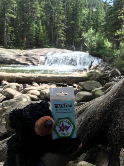 Copeland Falls